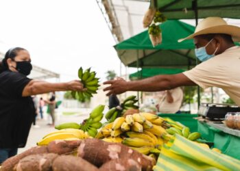 Feirinha de Orgânicos chega em mais uma edição no RioMar Kennedy
