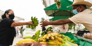 Feirinha de Orgânicos chega em mais uma edição no RioMar Kennedy