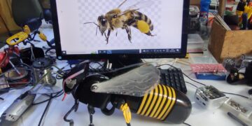 Exposição de arte sustentável da ibyte movimenta programação de shoppings de Fortaleza