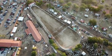 Vaquejada de Itapebussu deve movimentar mais de 3,5 milhões de reais no Ceará