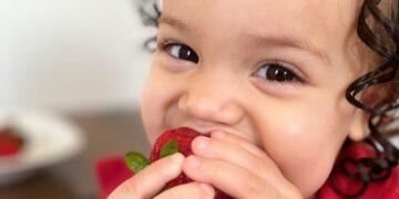 Campo Ouro Verde lança linha de morangos premium selecionados para os consumidores