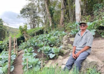 Sustentabilidade e bom uso da terra, cuidando bem do meio ambiente: famílias produzem alimentos orgânicos em Guaramiranga