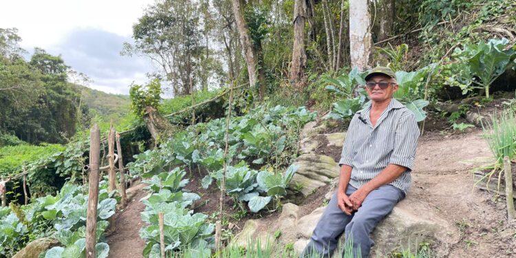 Sustentabilidade e bom uso da terra, cuidando bem do meio ambiente: famílias produzem alimentos orgânicos em Guaramiranga