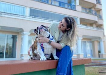 Pets em condomínios: legislação permite que animais vivam em harmonia