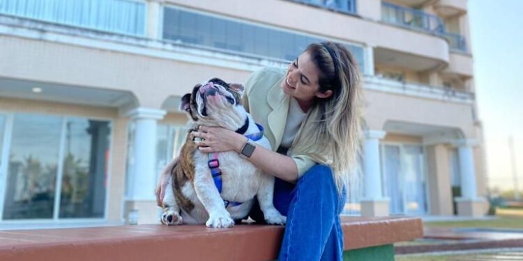 Pets em condomínios: legislação permite que animais vivam em harmonia