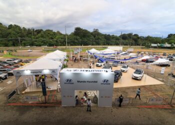 Check-up gratuito para veículos de qualquer marca e modelo, espaço Pet e atrações para toda a família nesse final de semana