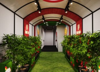 Festival Costume Gourmet inicia venda de ingressos para exposição