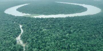 Programa Natura Carbono Neutro completa 15 anos gerando retorno social de R$ 32 para cada R$1 investido 
