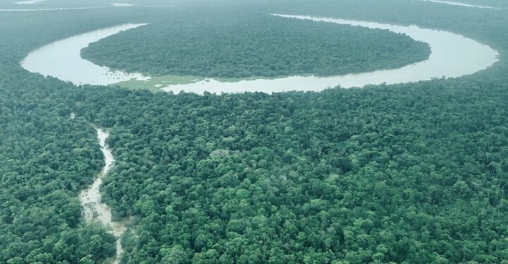 Programa Natura Carbono Neutro completa 15 anos gerando retorno social de R$ 32 para cada R$1 investido 
