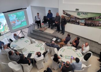 Chuvas em 2023: Cenário promissor para o produtor rural cearense