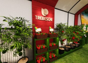 Em formato de galeria de arte, Festival Costume Gourmet apresentará experiências sensoriais aos participantes 