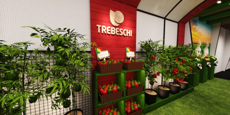 Em formato de galeria de arte, Festival Costume Gourmet apresentará experiências sensoriais aos participantes 