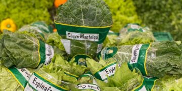 Campo Ouro Verde registra aumento de mais de 40% nas vendas de folhagens e projeta 2023