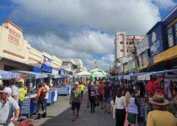 Faec quer feiras livres de produtos orgânicos em bairros nobres Fortaleza 