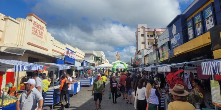 Faec quer feiras livres de produtos orgânicos em bairros nobres Fortaleza 