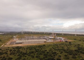 Eco Nordeste é finalista em Prêmio Megafone de Ativismo