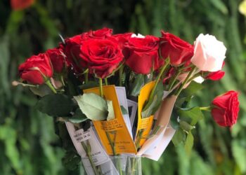 Dia Internacional da Mulher: Com expectativa de alta de 40% das vendas, Luxo Natural traz coleção especial de flores