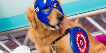 RioMar Kennedy realiza neste sábado (29) evento gratuito voltado para animais de estimação e seus tutores