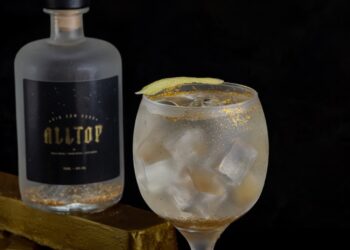  ‘AllTop’, primeiro gin com ouro do Nordeste, chega no mercado cearense  
