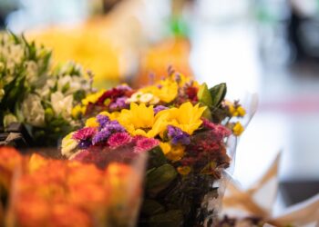 Pão de Açúcar aposta em variedade de flores para o Dia das Mães