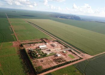 TIM fecha primeira parceria no segmento da pecuária do Brasil com Grupo Stracci