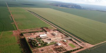 TIM fecha primeira parceria no segmento da pecuária do Brasil com Grupo Stracci