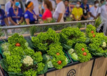 Campo Ouro Verde registra alta e divulga raking das hortaliças mais consumidas pelos cearenses