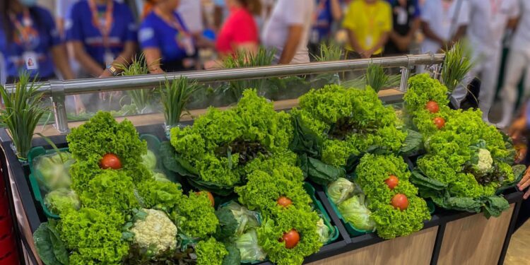 Campo Ouro Verde registra alta e divulga raking das hortaliças mais consumidas pelos cearenses
