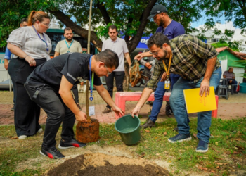 Pague Menos doa mil mudas para o Plano de Arborização de Fortaleza