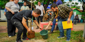 Pague Menos doa mil mudas para o Plano de Arborização de Fortaleza