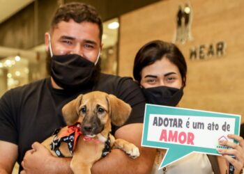 Terrazo Shopping sedia feira de adoção de animais em parceria com a ONG ABRACE
