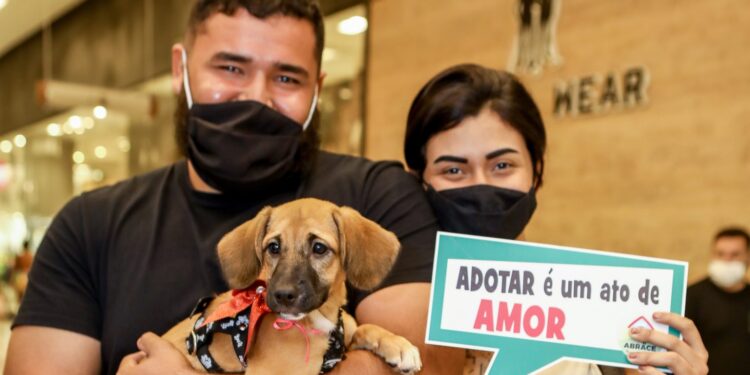 Terrazo Shopping sedia feira de adoção de animais em parceria com a ONG ABRACE
