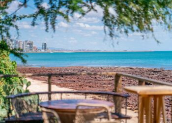 Com Samba e Bossa Nova, Grupo Illa promove agosto com uma programação musical diversificada