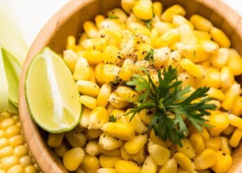 Produção de milho no Nordeste se destaca e estima colheita superior à da França em 2023