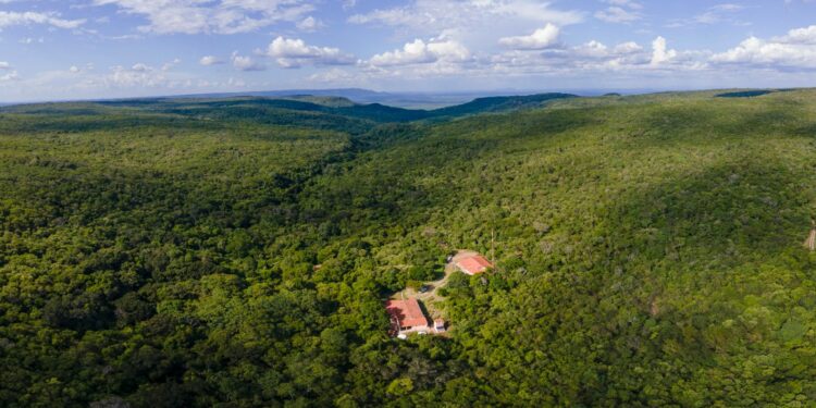 Projeto da Associação Caatinga visa estabelecer parcerias para o cuidado com o meio ambiente