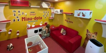 RioMar Fortaleza recebe feira “Miau-dota” que promove adoção responsável de gatos 