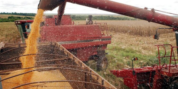 Nordeste ultrapassa Índia na produção de soja