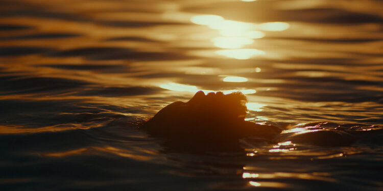 Três grandes produções cearenses de 2023 terão exibição especial no 33° Cine Ceará 