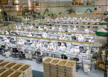 Dunorte firma licenciamento de produtos temáticos de clubes de futebol