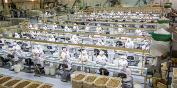 Dunorte firma licenciamento de produtos temáticos de clubes de futebol