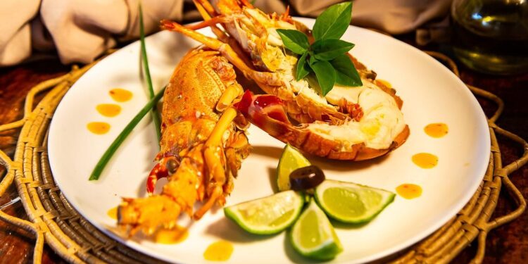 Gastronomia, música e feira de negócios vão marcar o XVI Festival da Lagosta em Icapuí (CE)