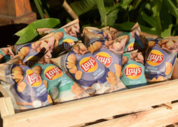 Lay’s Rústicas chegam ao Nordeste com formato inédito e rastreabilidade das batatas
