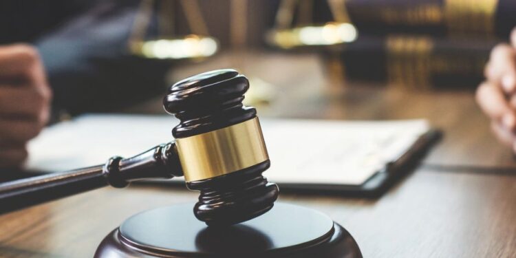 Brasil atinge recorde de 100 milhões de pessoas empregadas. Áreas de educação, gestão e jurídica são destaques de contração  