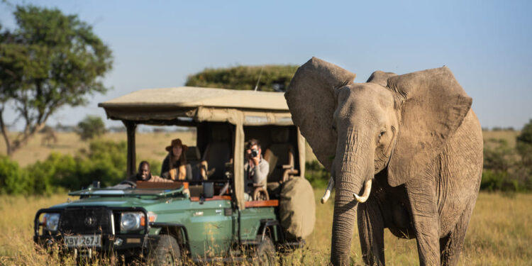 Wee Travel registra crescimento de 63% em 2023 e traz tendências do turismo de experiências e de luxo para 2024