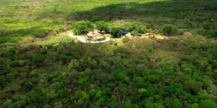 Beach Park adota 20 hectares na Reserva Natural Serra das Almas/CE