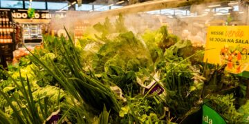 Pão de Açúcar destaca os benefícios das folhagens para manter uma alimentação equilibrada