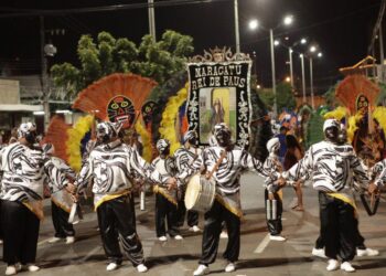 Festividades do Ciclo Carnavalesco 2024 iniciam neste fim de semana em todo o Ceará
