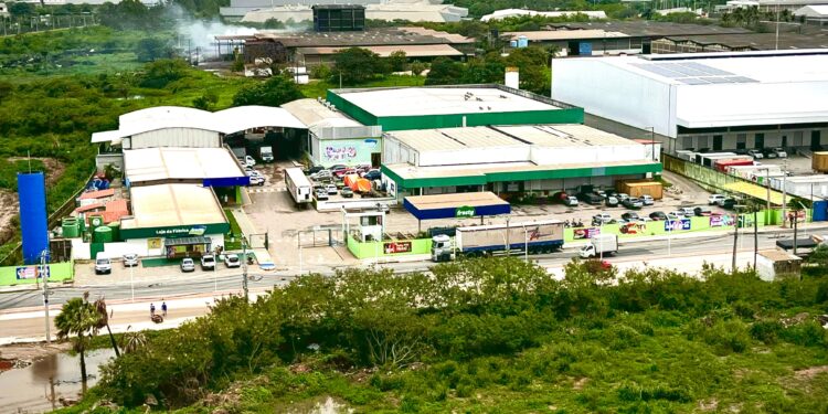 Em 2024 a Sorvetes Frosty deve investir cerca de 30 milhões com foco em expansão