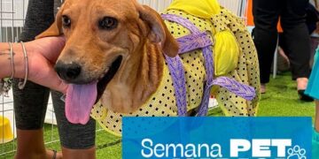 North Shopping Maracanaú celebra o Dia Nacional dos Animais com uma semana especial