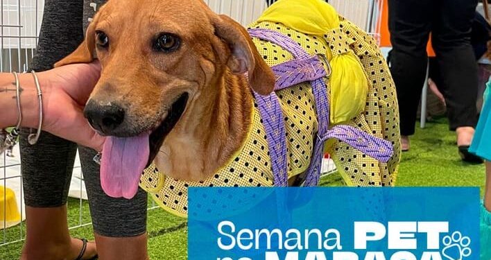 North Shopping Maracanaú celebra o Dia Nacional dos Animais com uma semana especial